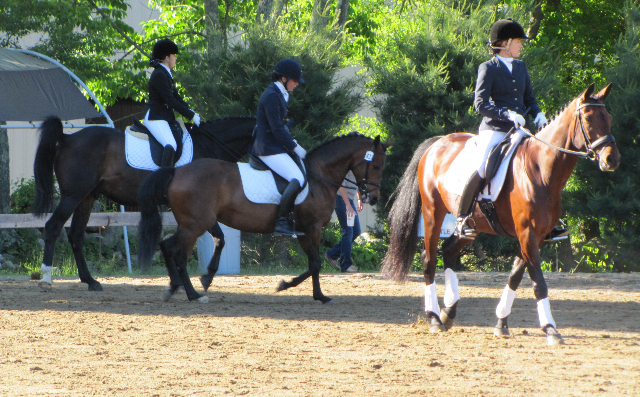 MVHC_wonderwarmupwithhorses_june2014.jpg